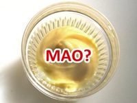 mayo-featured